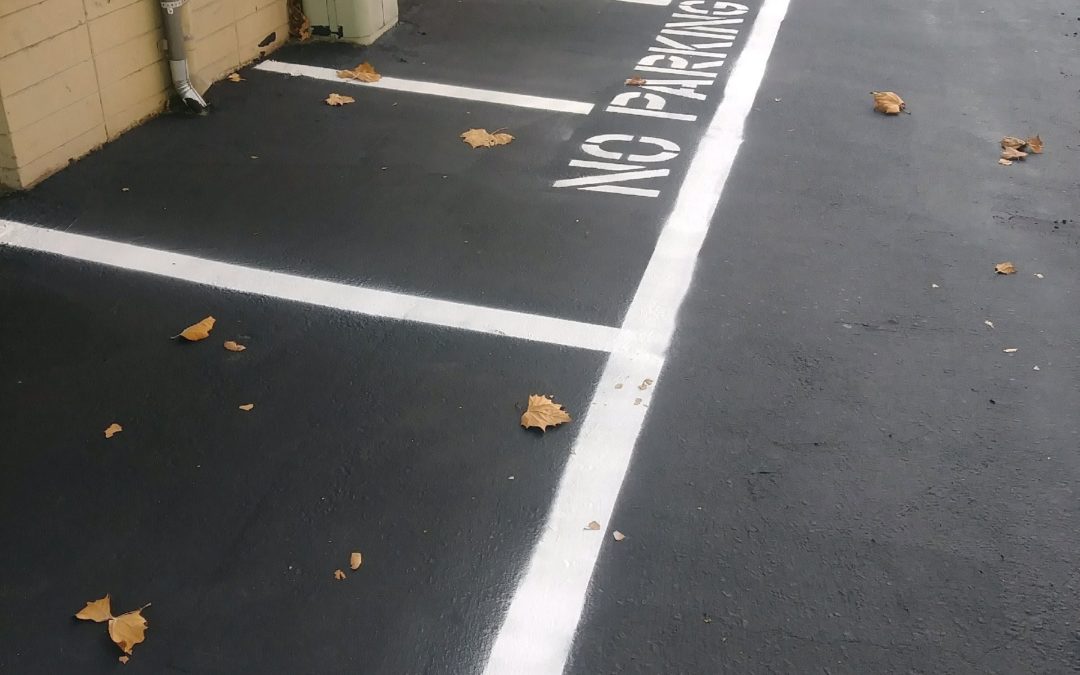 No Parking markings