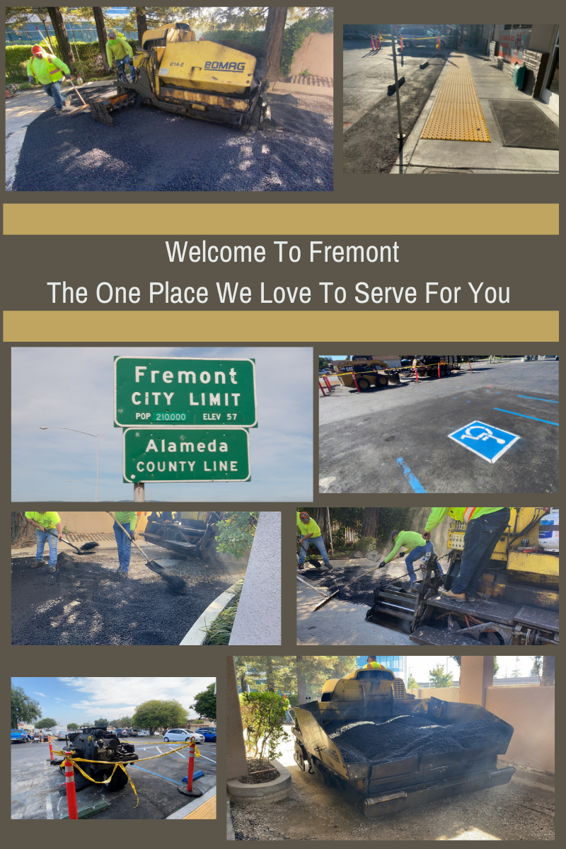 Asphalt Paving Contractors