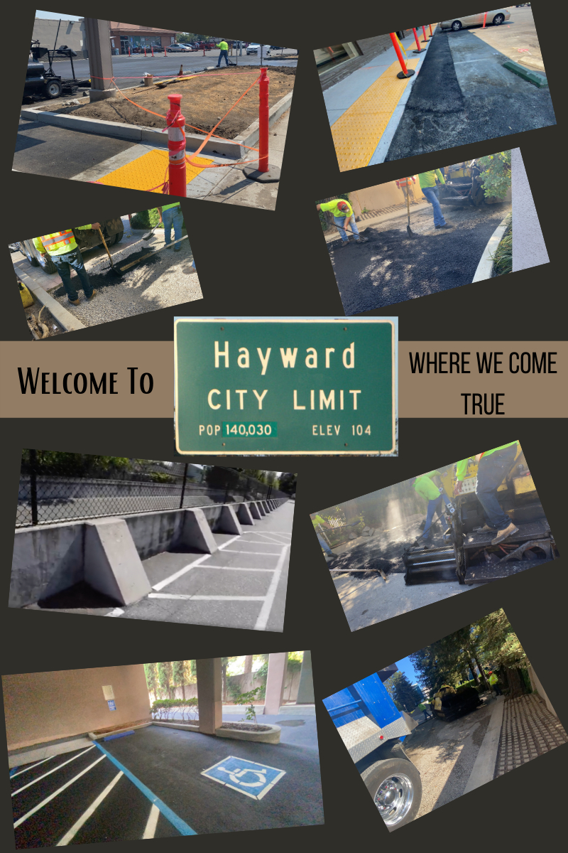 Asphalt Paving Contractors