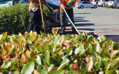 Maximizing Value: Cost-Effective Asphalt Solutions in California