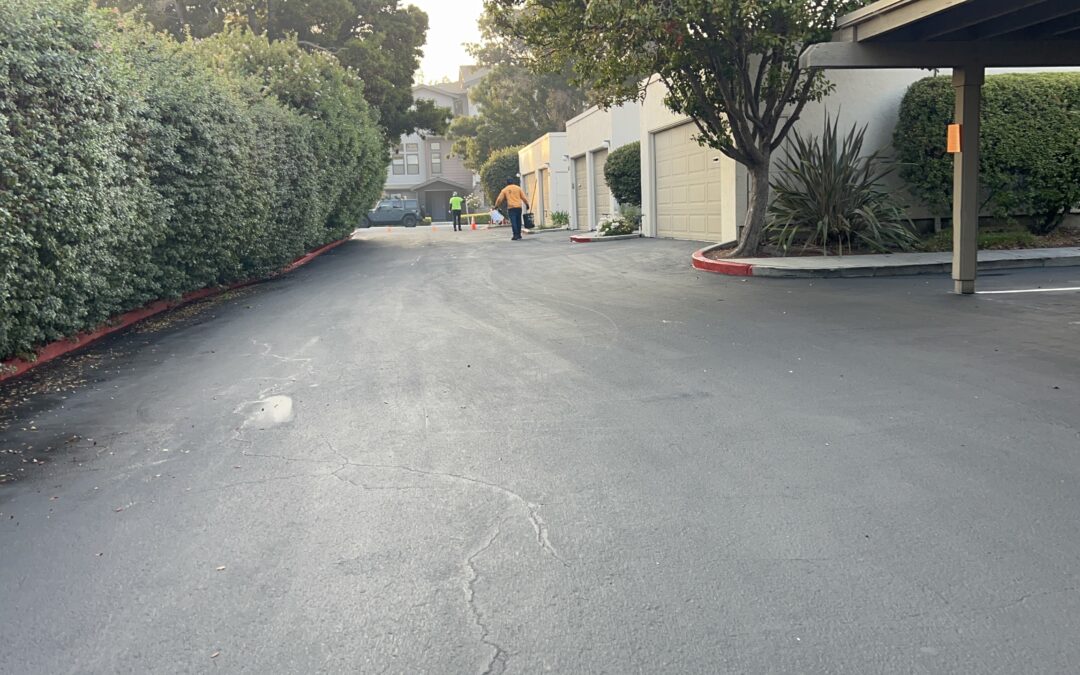 Parking Lot Striping, Asphalt Patching, Parking Line Striping