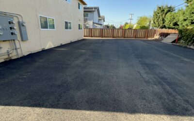 Competitive Dynamics of Paving Services in San Jose, CA