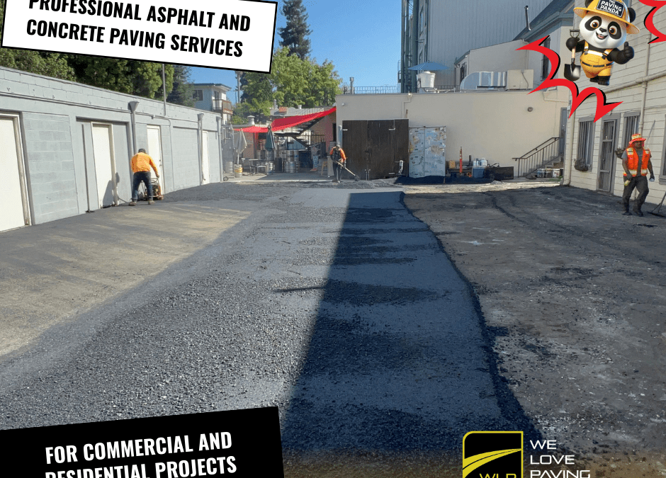 Professional Asphalt and Concrete Paving Services for Commercial and Residential Projects