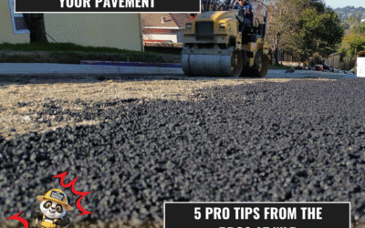 How to Extend the Life of Your Pavement: 5 Pro Tips from the Pros at WLP