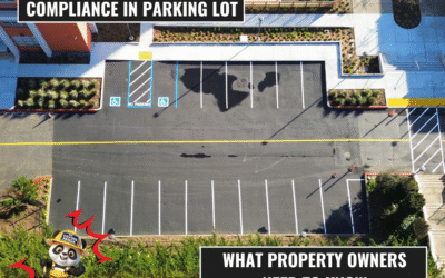 Engineering and Compliance in Parking Lot Design: What Property Owners Need to Know