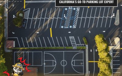 Why Your Commercial Property Needs Preventive Asphalt Maintenance