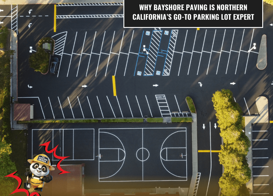 Why Your Commercial Property Needs Preventive Asphalt Maintenance