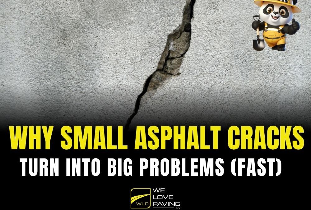 Infographic-style image showing a large asphalt crack with the headline "Why Small Asphalt Cracks Turn Into Big Problems (Fast)". Includes the We Love Paving logo and cartoon mascot "The Paving Panda"