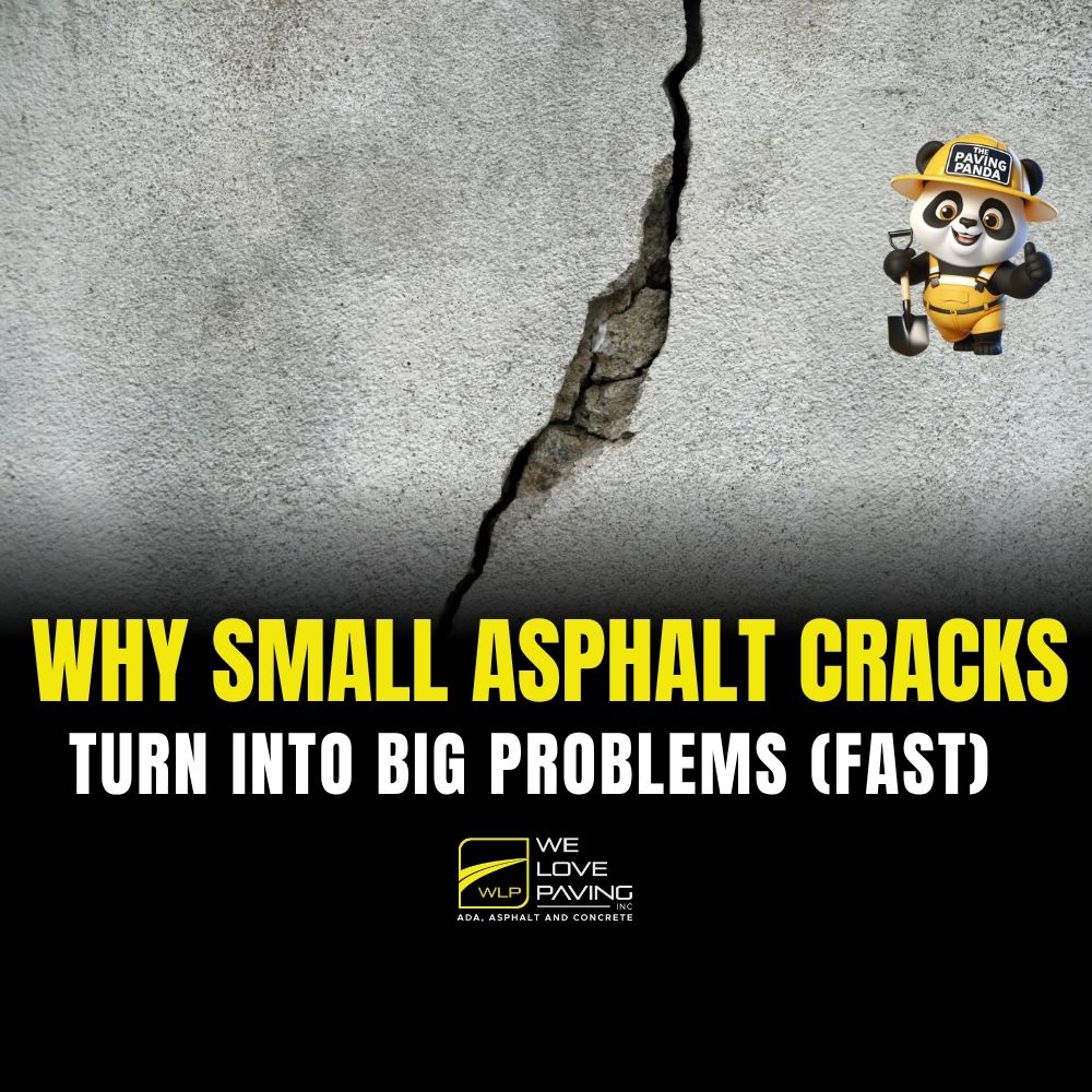 Infographic-style image showing a large asphalt crack with the headline "Why Small Asphalt Cracks Turn Into Big Problems (Fast)". Includes the We Love Paving logo and cartoon mascot "The Paving Panda"
