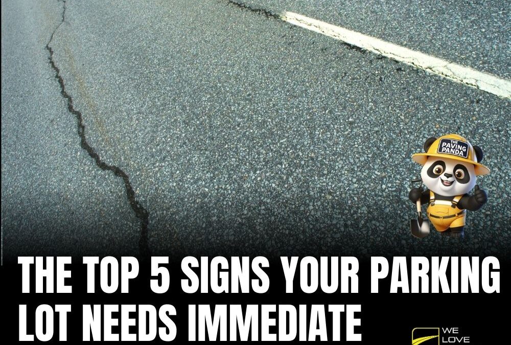 The Top 5 Signs Your Parking Lot Needs Immediate Attention