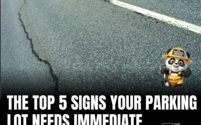 The Top 5 Signs Your Parking Lot Needs Immediate Attention