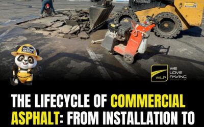 The Lifecycle of Commercial Asphalt: From Installation to Full Rehabilitation