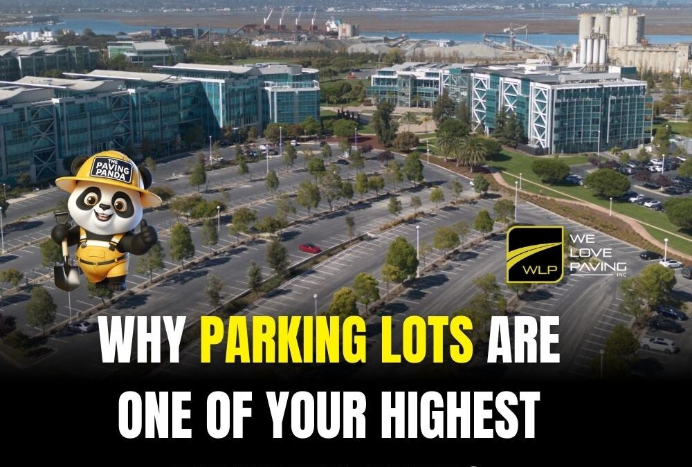 Why Parking Lots Are One of Your Highest Liability Areas