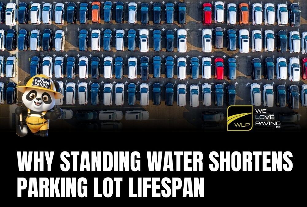Why Standing Water Shortens Parking Lot Lifespan