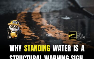 Why Standing Water Is a Structural Warning Sign